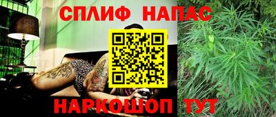 трава Пугачёв