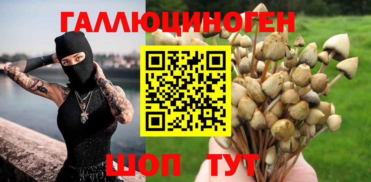Ульяновск  Галлюциногенные грибы прущие грибы  Вход с VPN  Псилоцибиновые грибы прущие грибы 