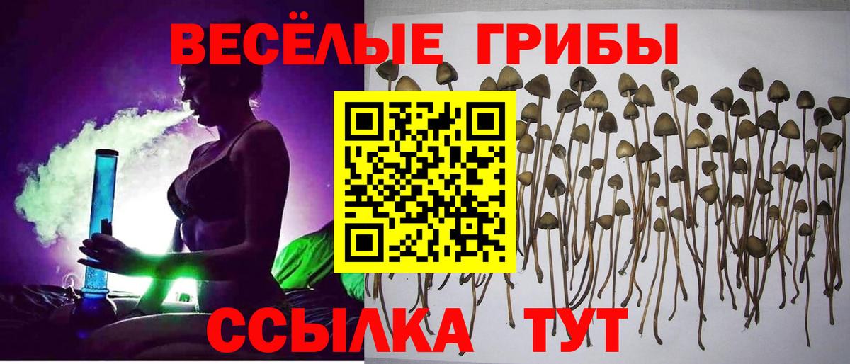 Галлюциногенные грибы MAGIC MUSHROOMS Ульяновск